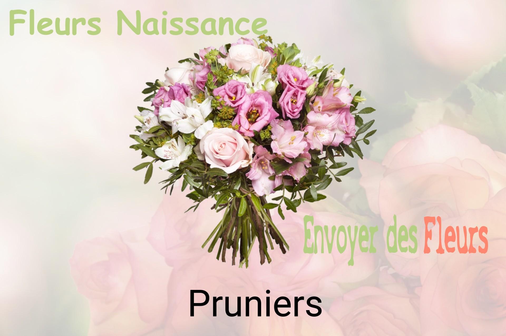 Bouquet de fleurs de naissance livré à Pruniers
