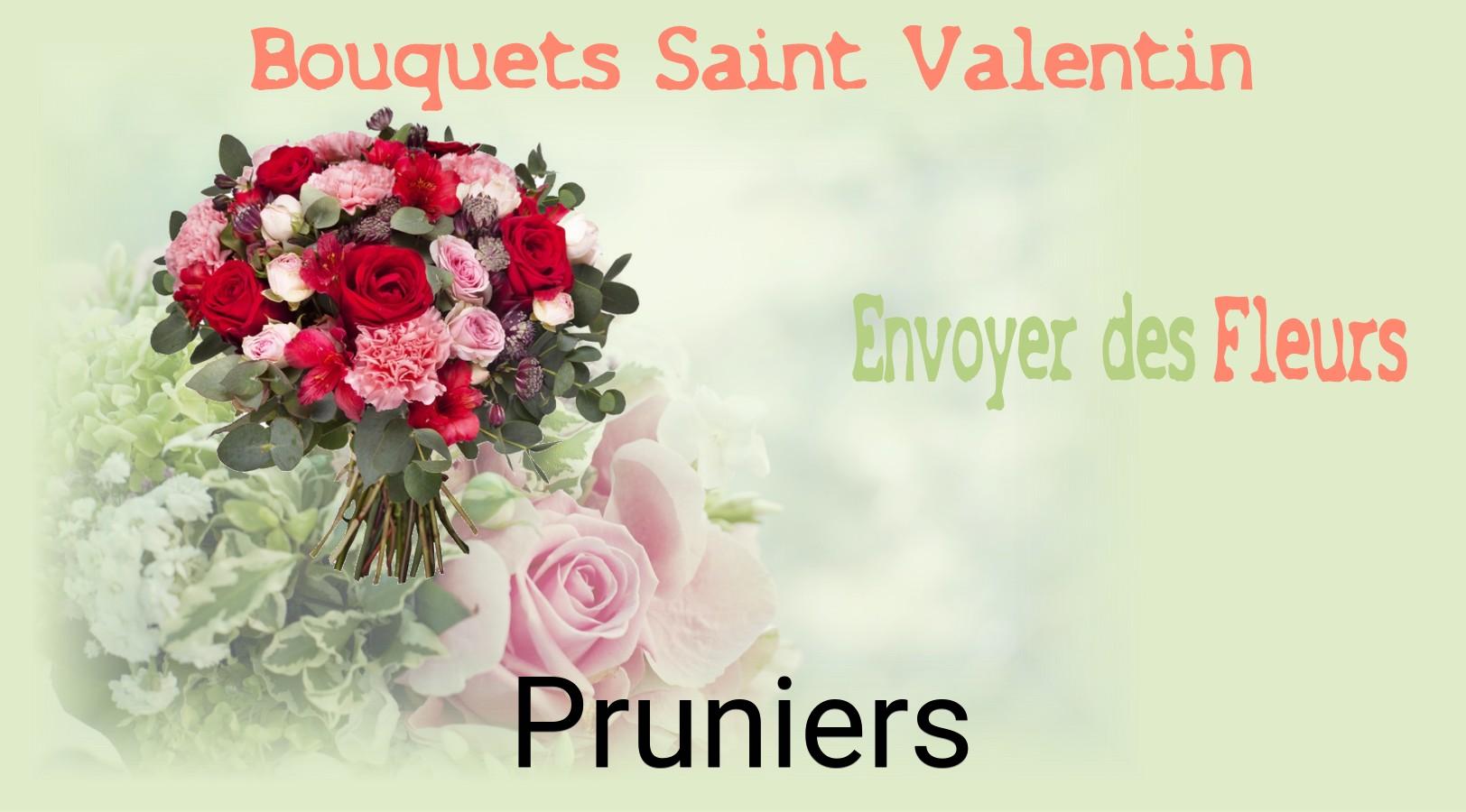 Roses de Saint-Valentin livrées à Pruniers