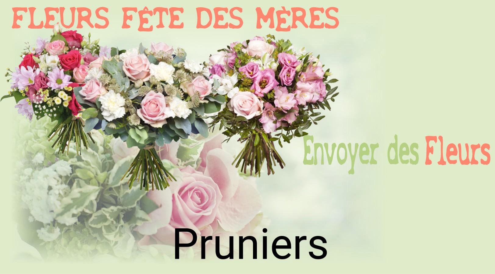 Bouquet de Fête des Mères livré à Pruniers
